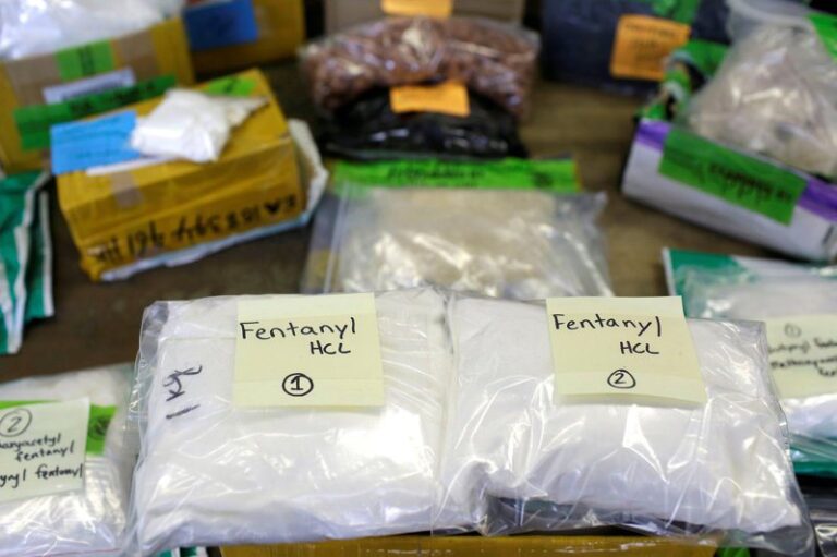 House of Representatives report: China's use of raw materials for fentanyl adds to US crisis

